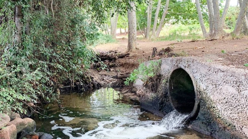 Cerveja para salvar os rios e os mares